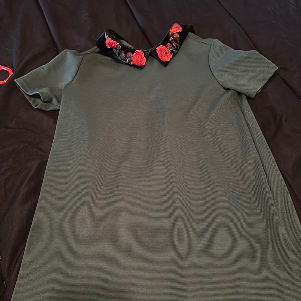 Velvet embroidered collar Zara Trafaluc dress